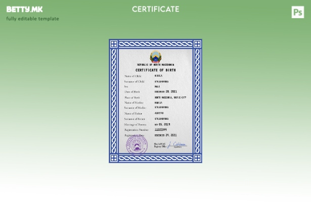 модерен стил, шаблон за ПСД од извод од витална евиденција за Северна Македонија